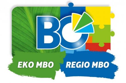 Grafika Budżetu Obywatelskiego